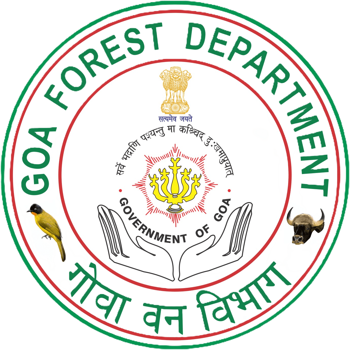 Goa Forest