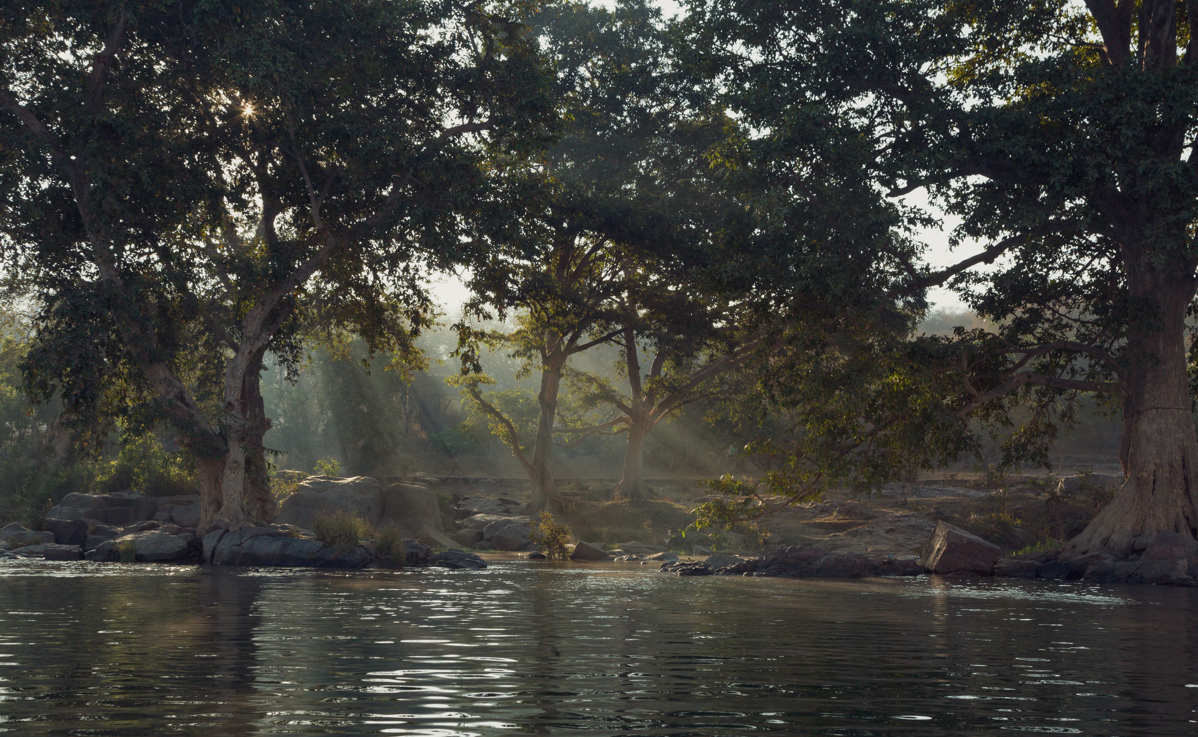 Betwa River Serenity.JPG