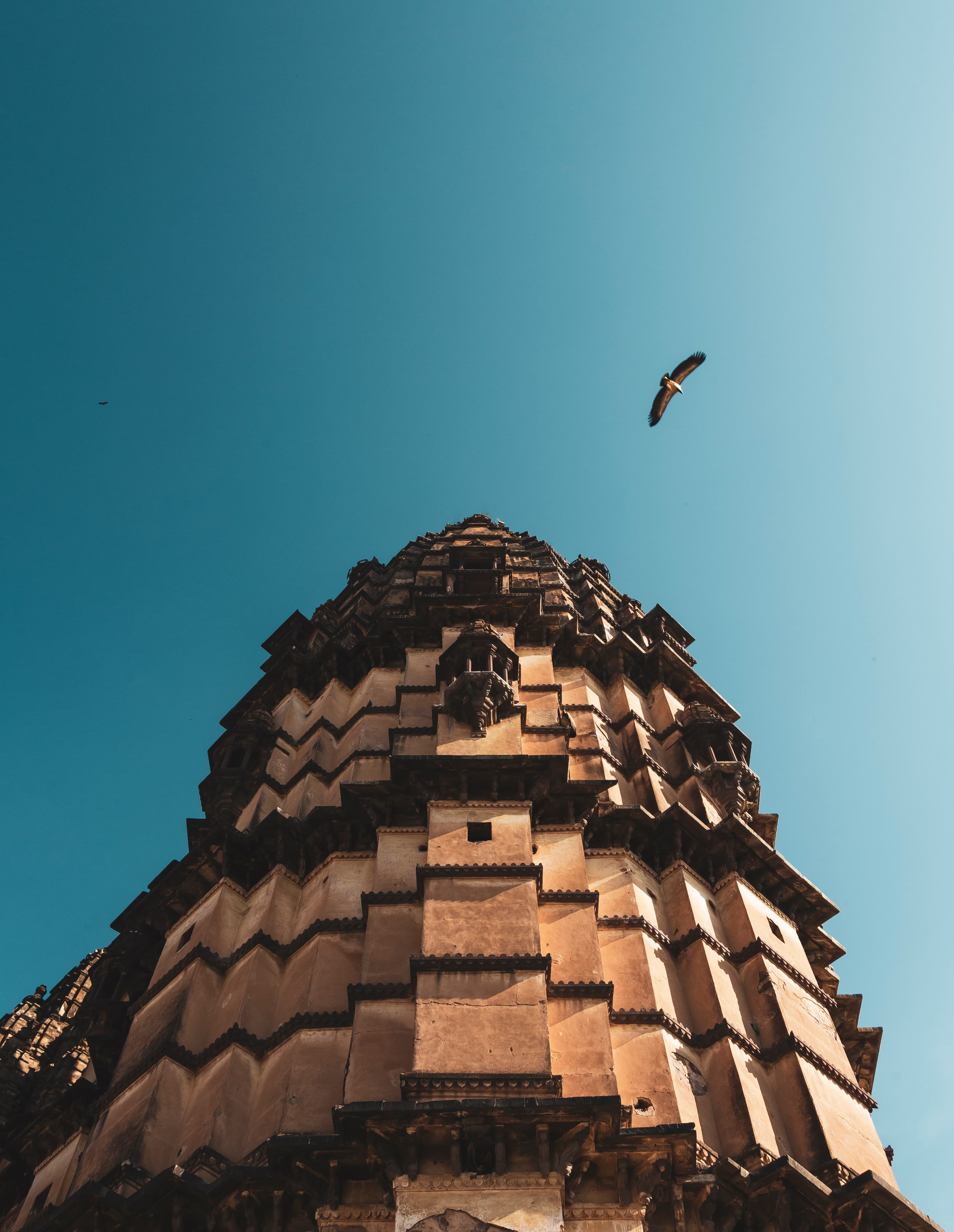 Chaturbhuj in the Vulture’s Gaze.