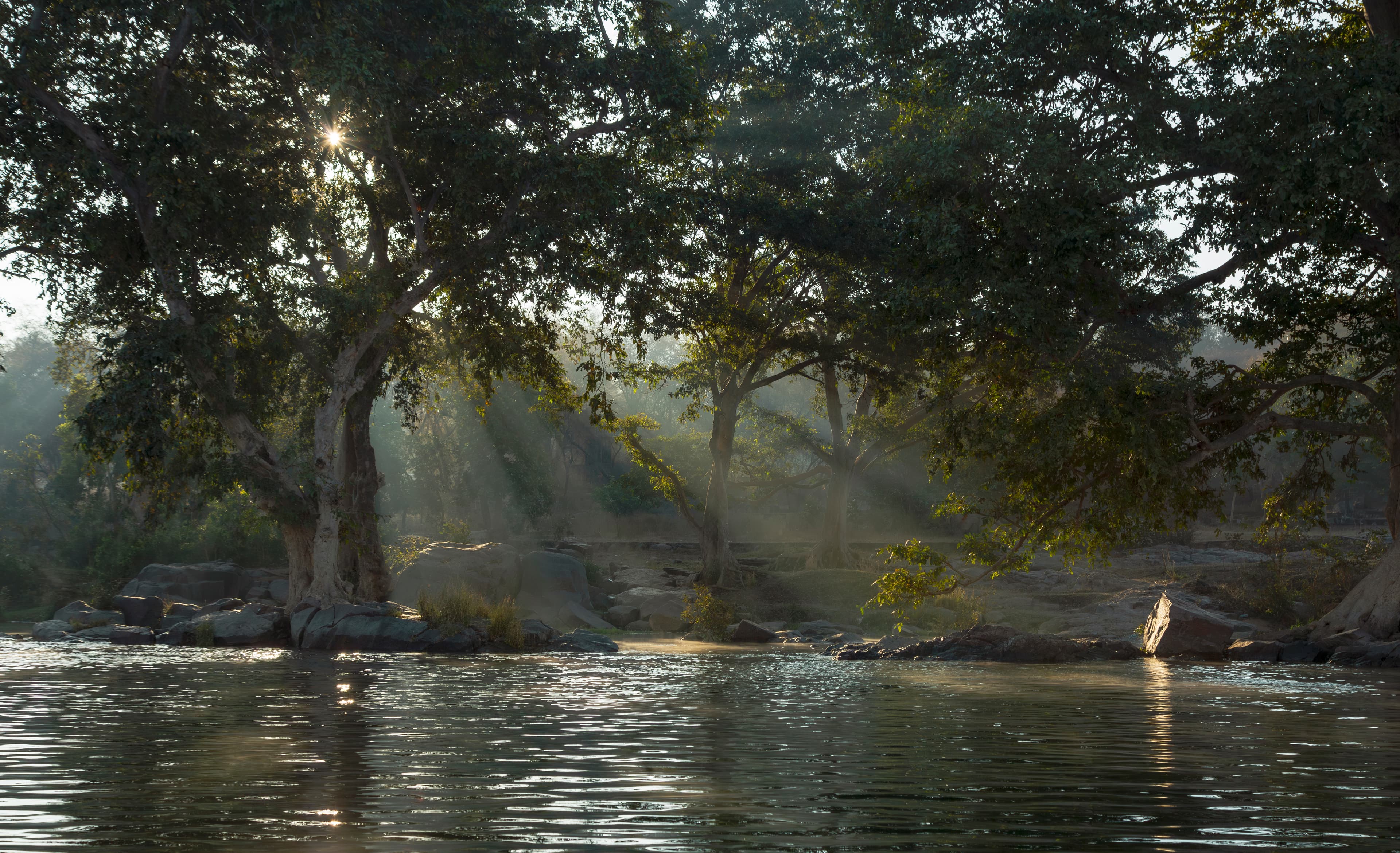 Whispers of the Betwa