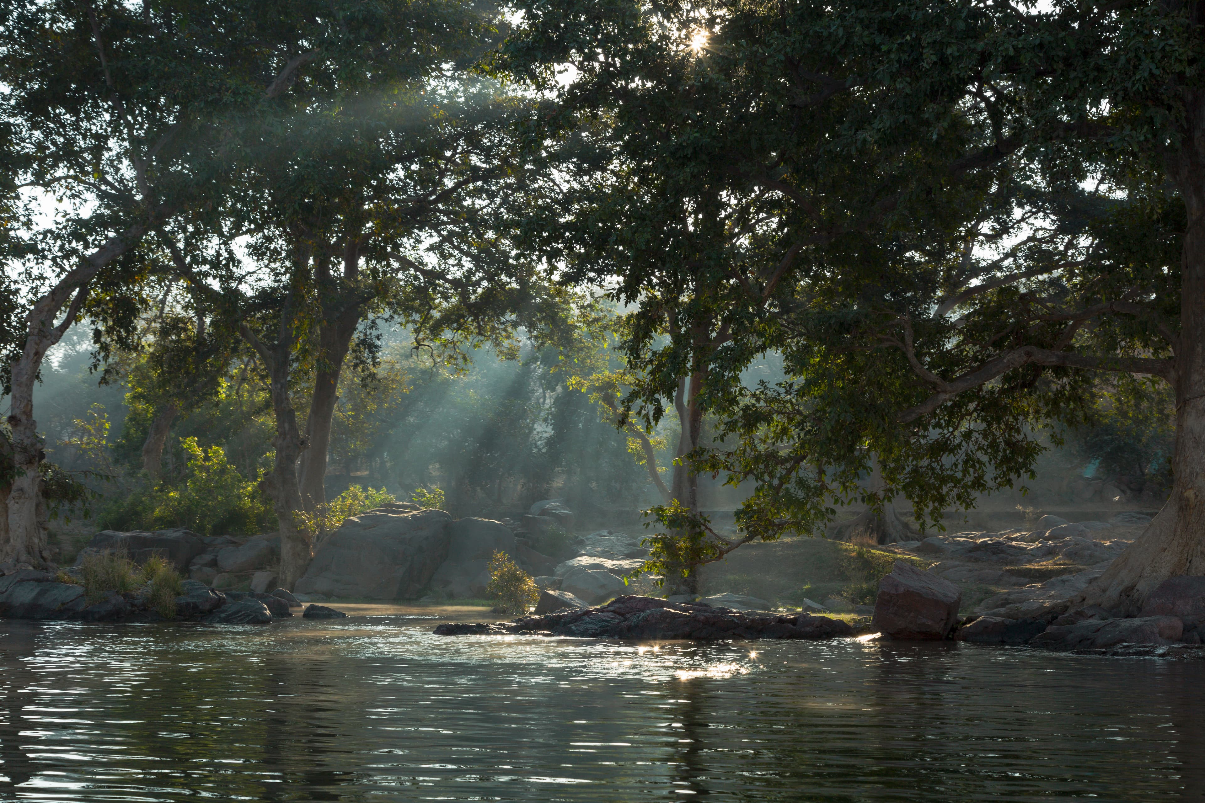 Betwa's Morning Hymn