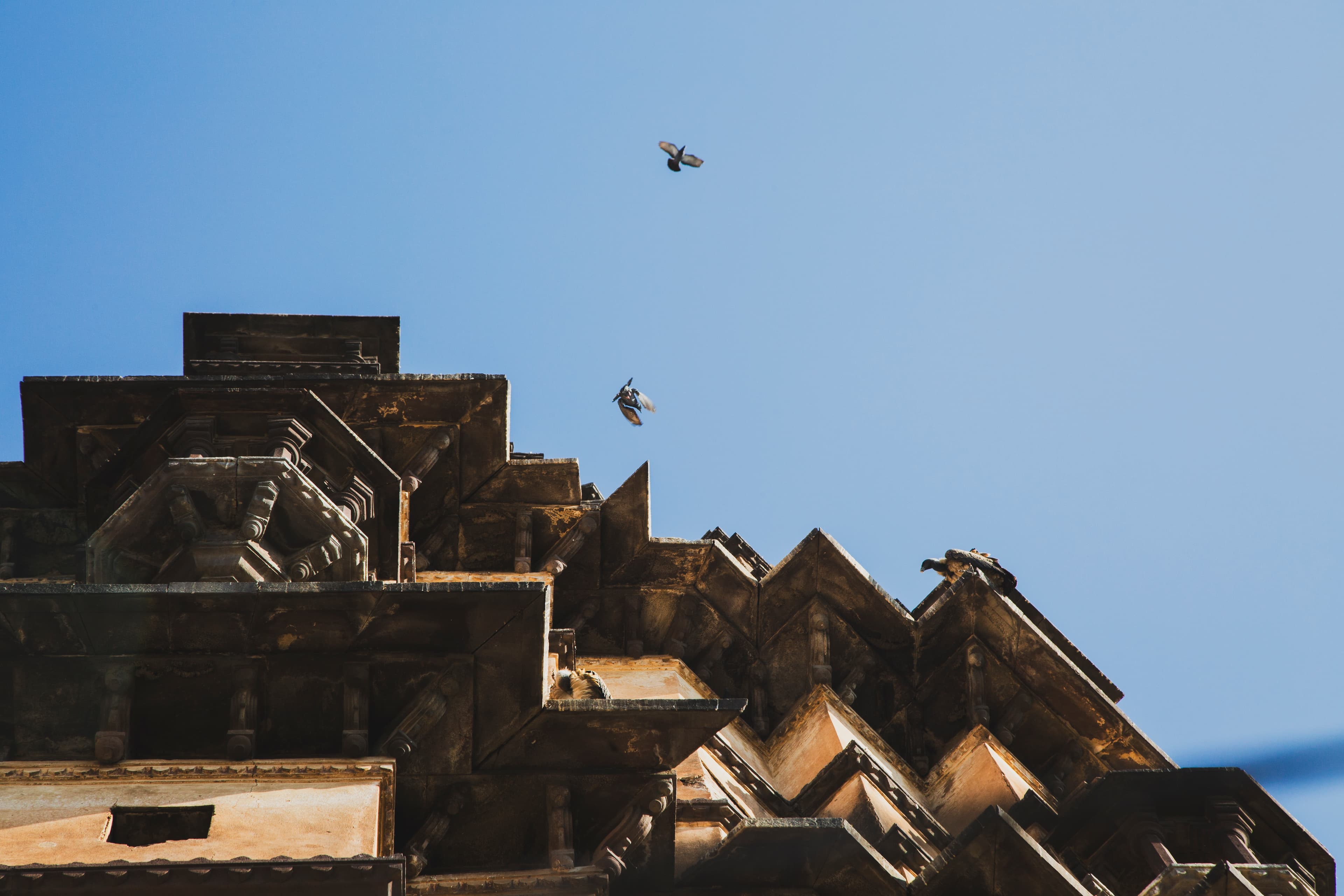 Guardians in the Sky