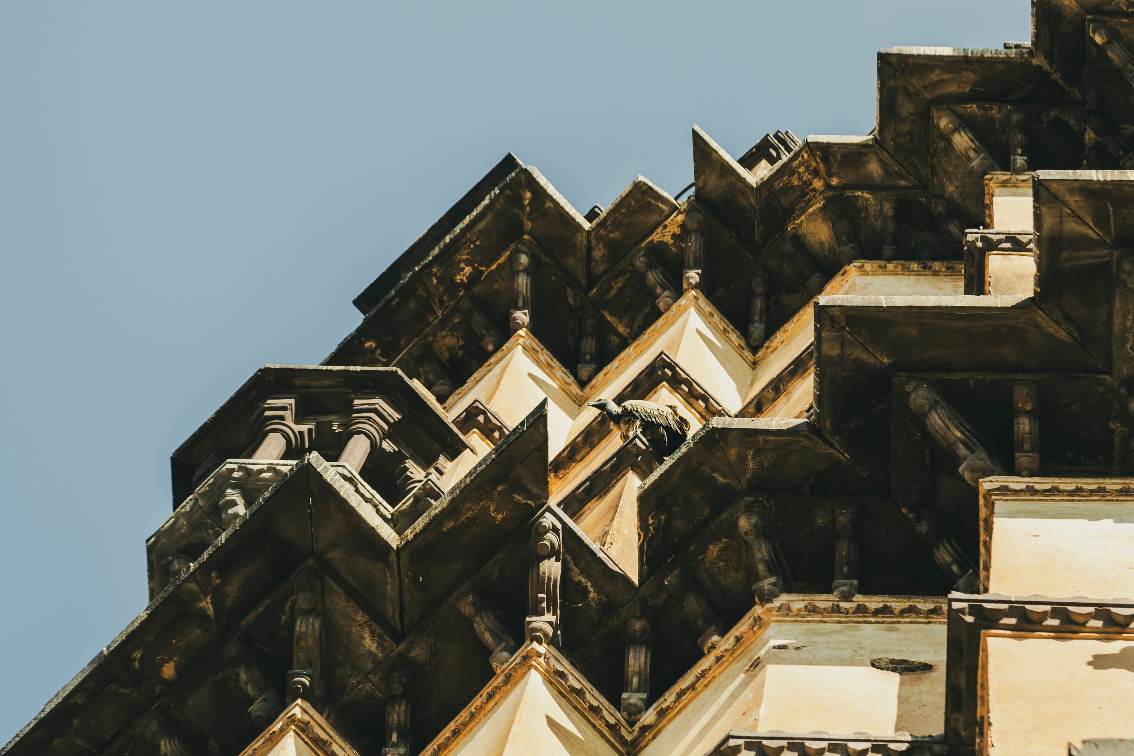 Guardians of the Temple Heights