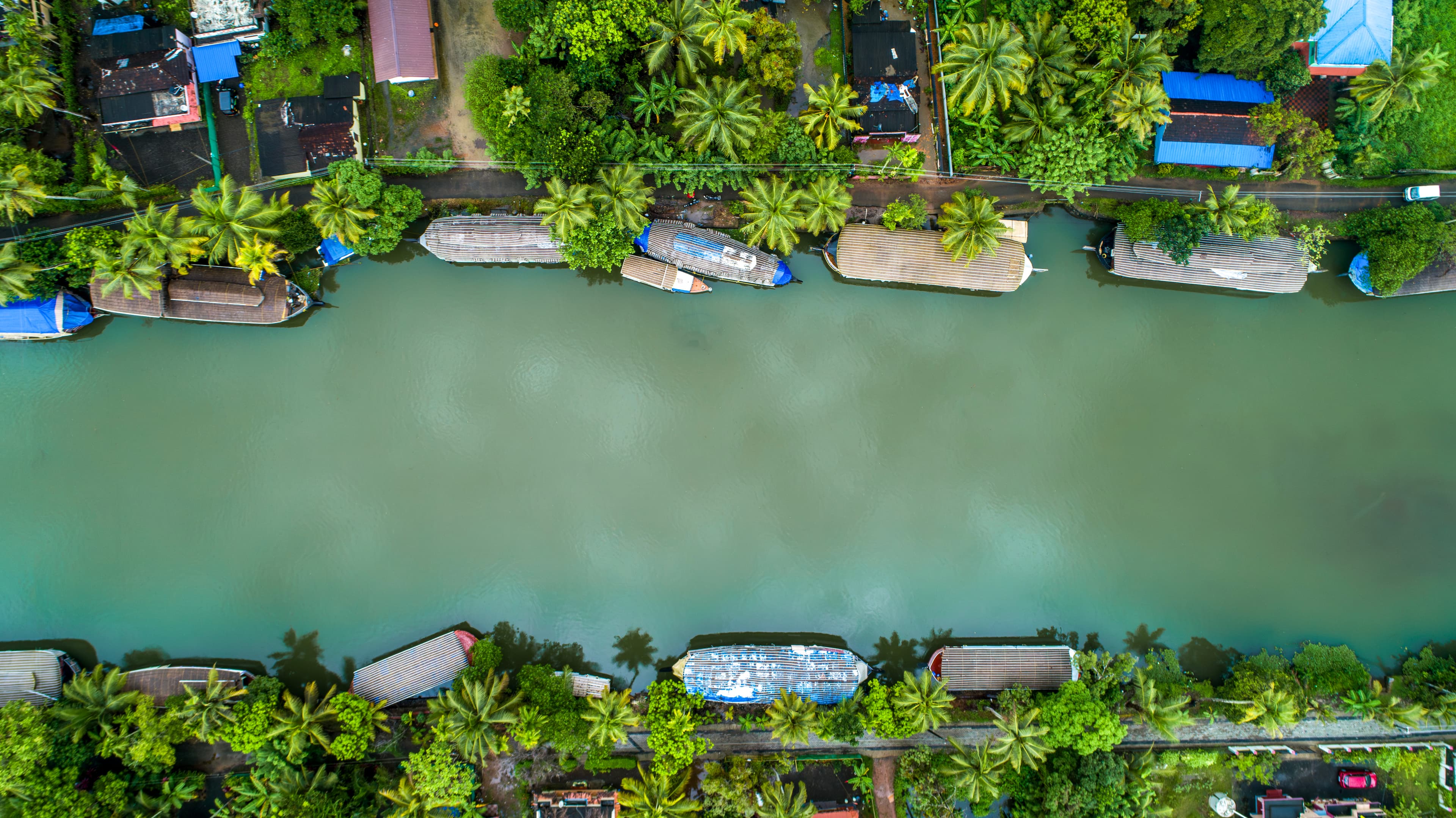 Aerial Harmony of Houseboats and Coconut Groves