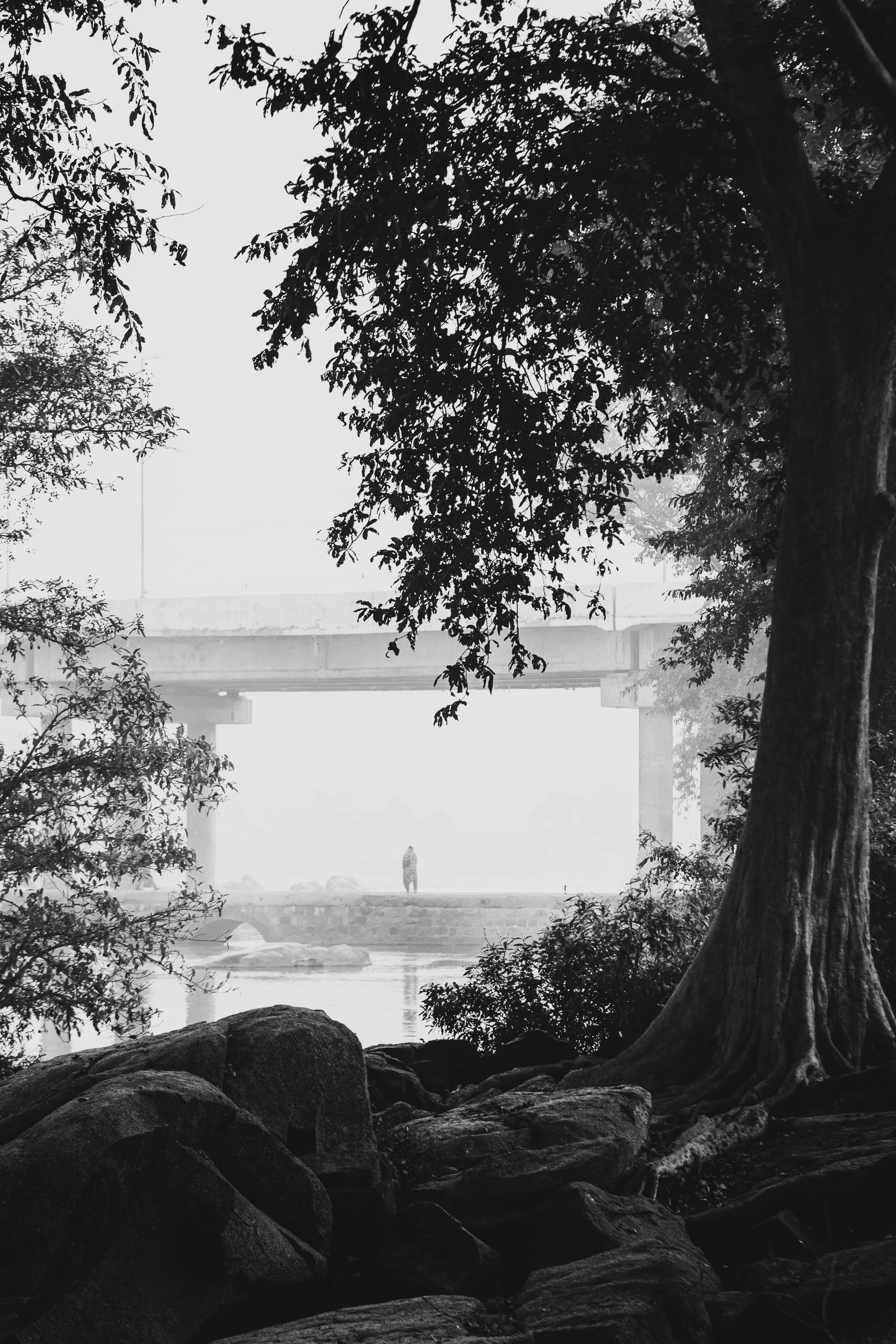 Where Stillness Breathes