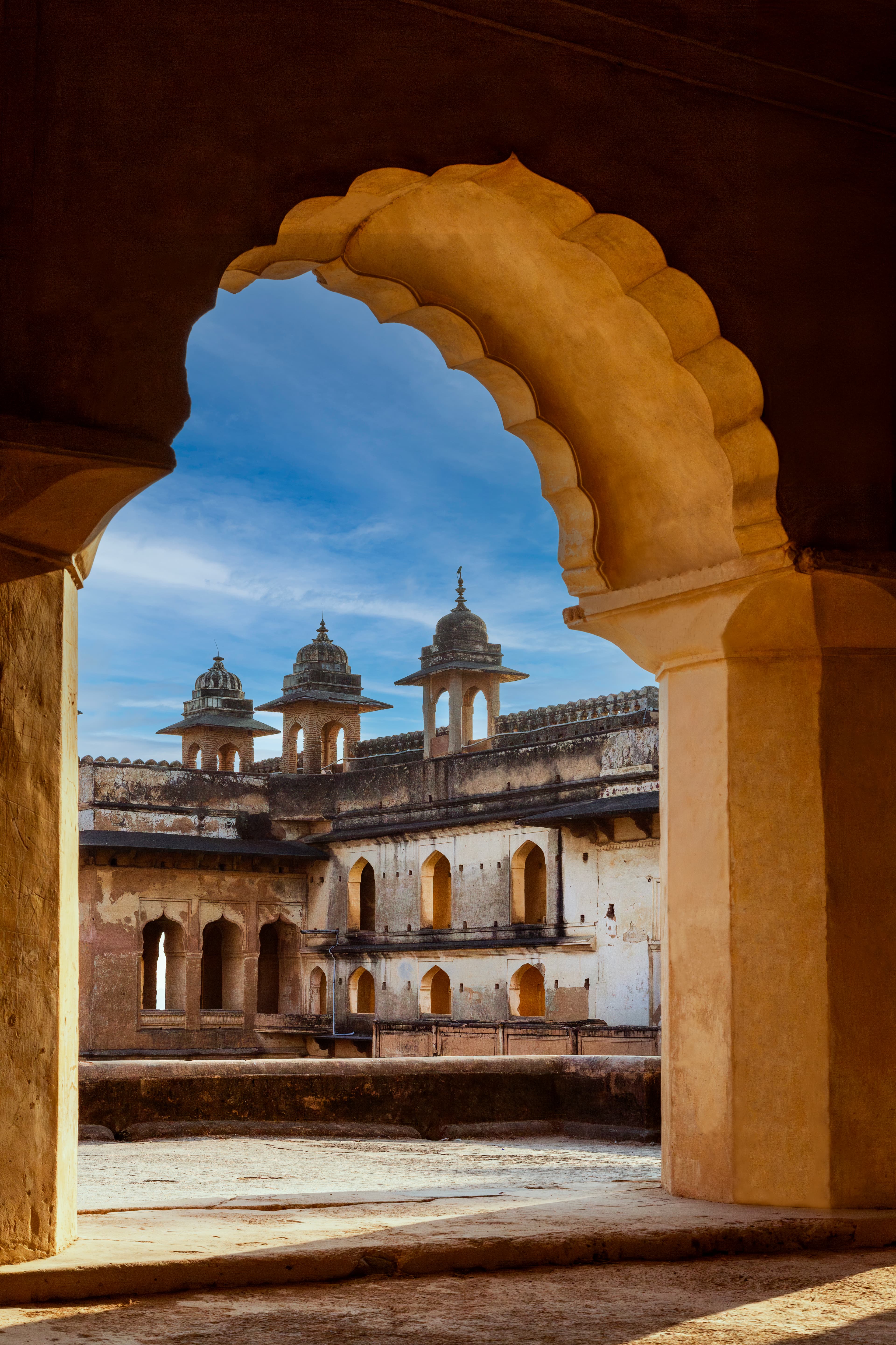 A Glimpse Bathed in Gold