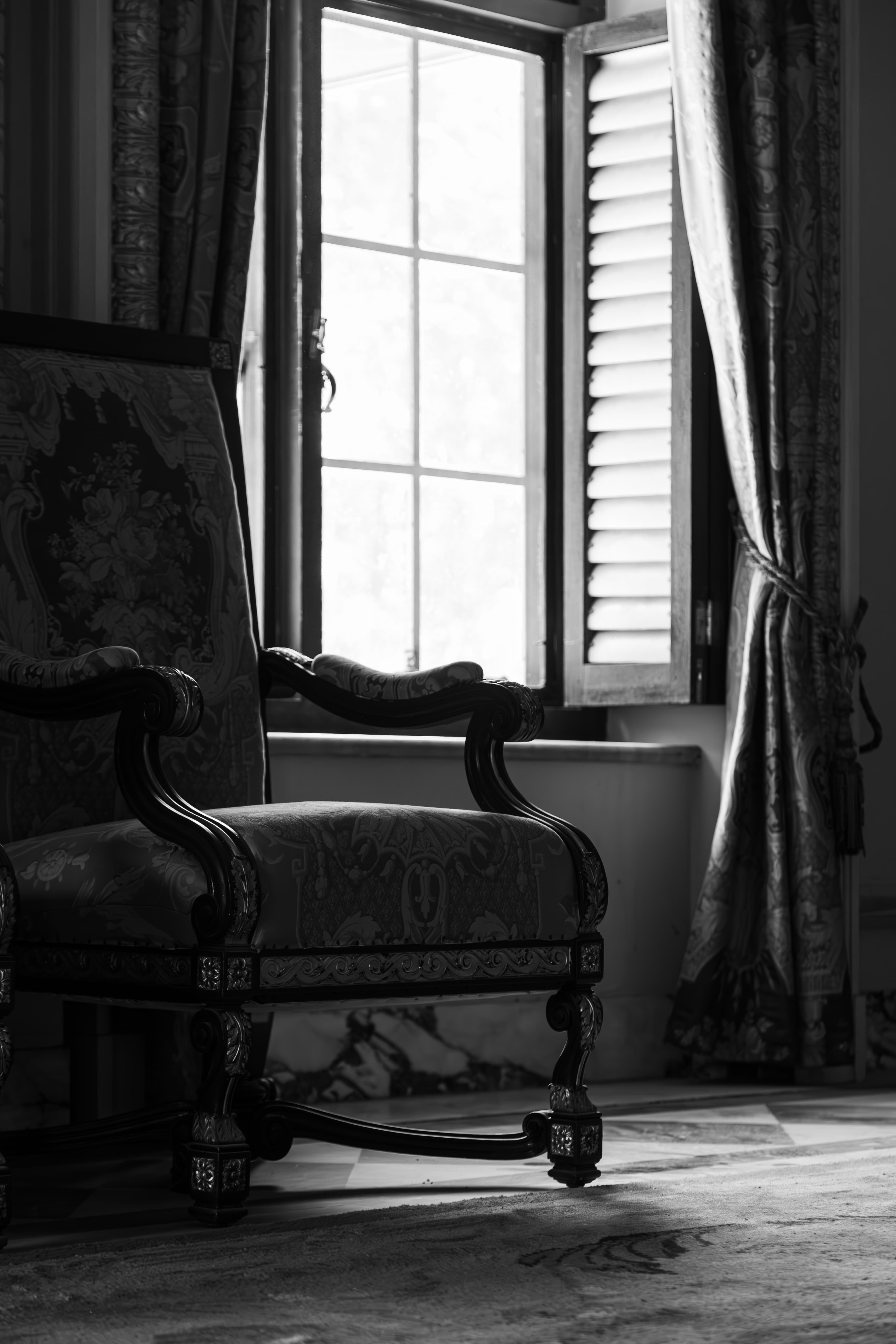 Stillness in Silk and Shadow