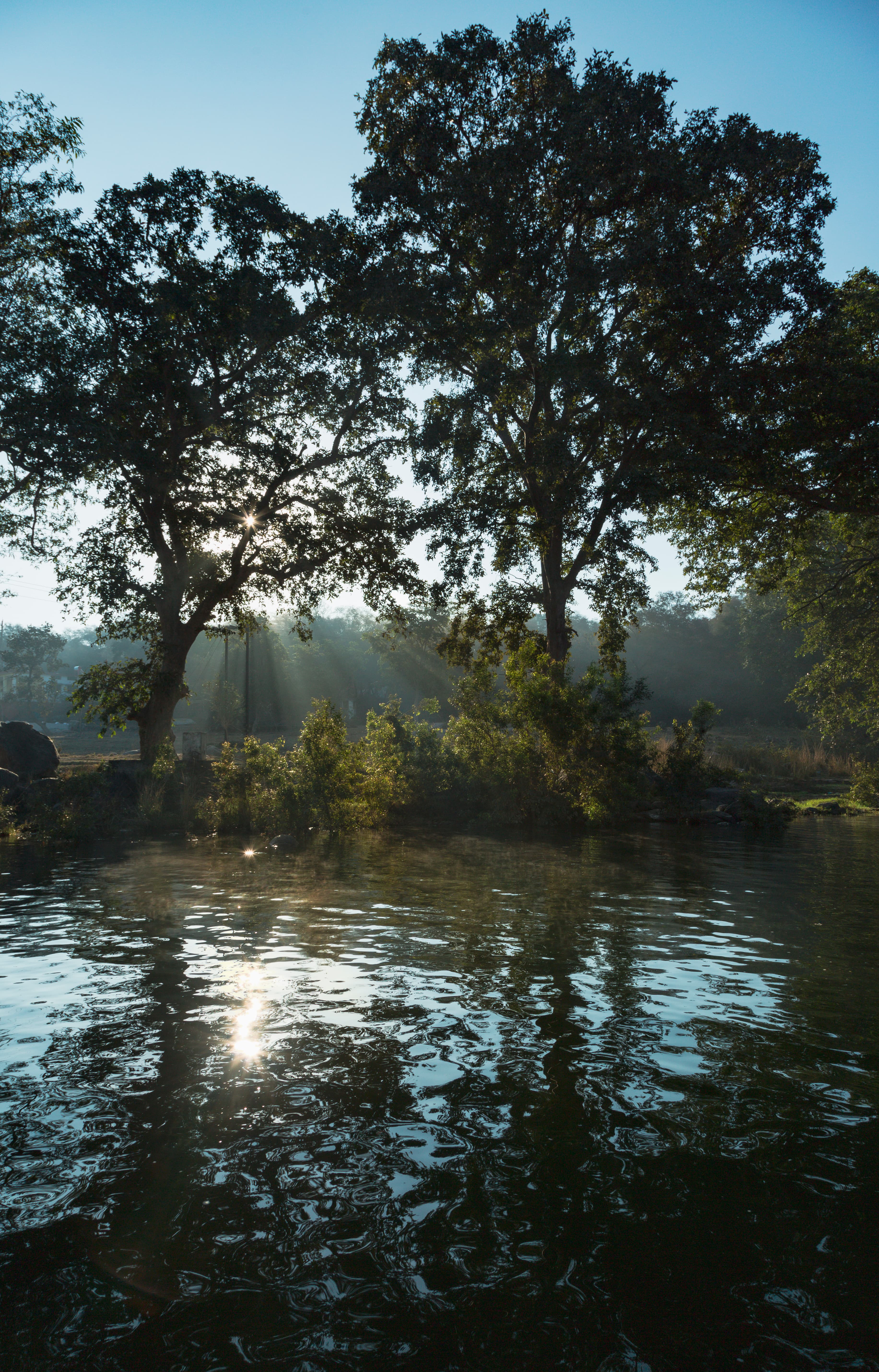 Morning’s First Breath