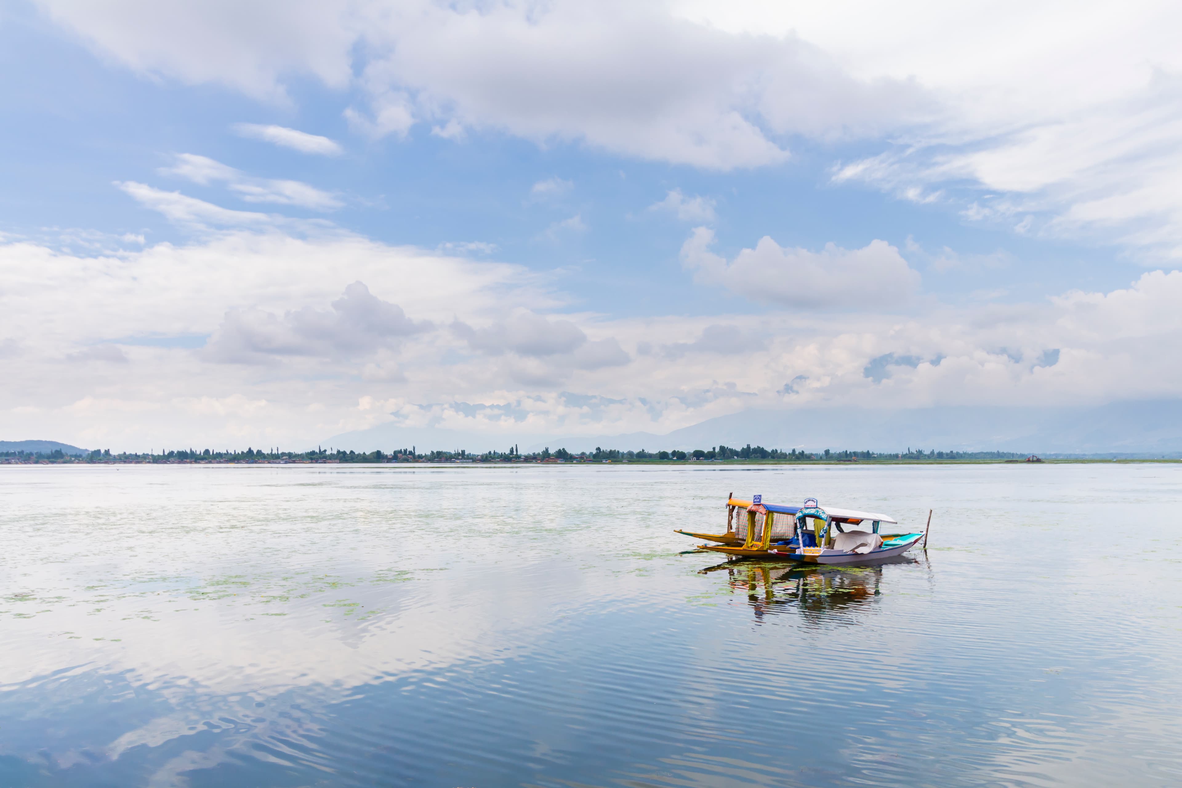 Twin Shikaras on Dal Lake – Serenity in Motion