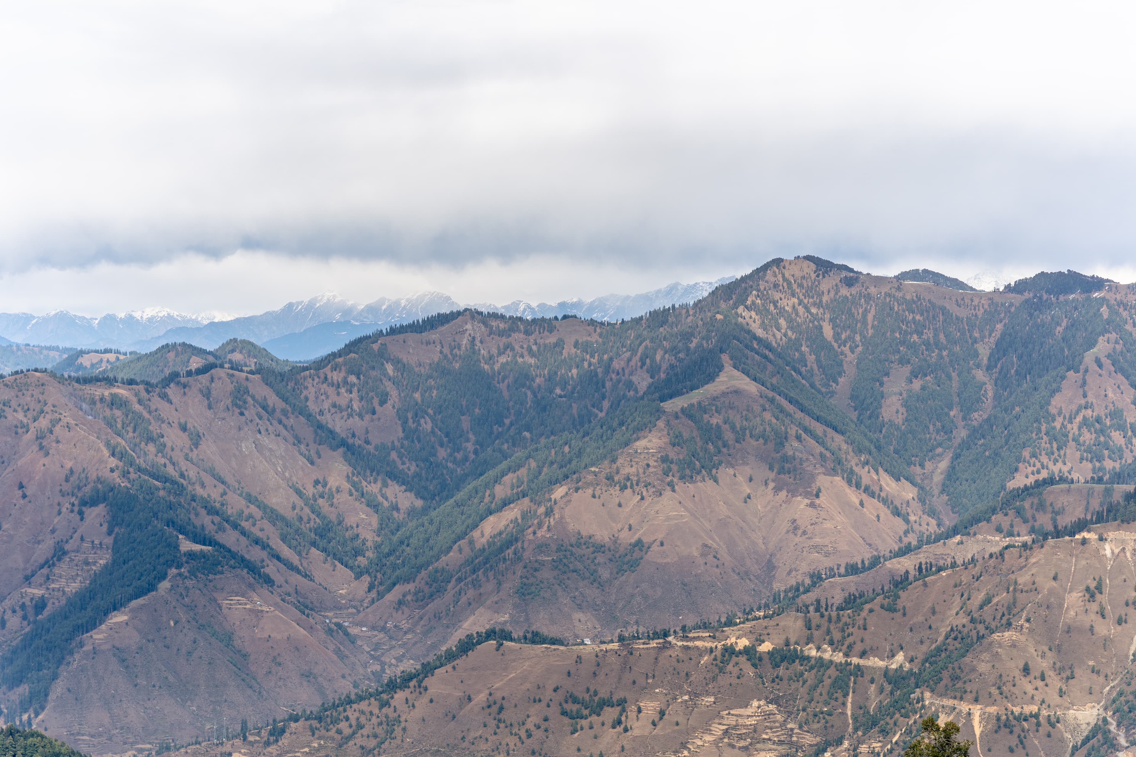 Earth-Toned Echoes of Bhaderwah