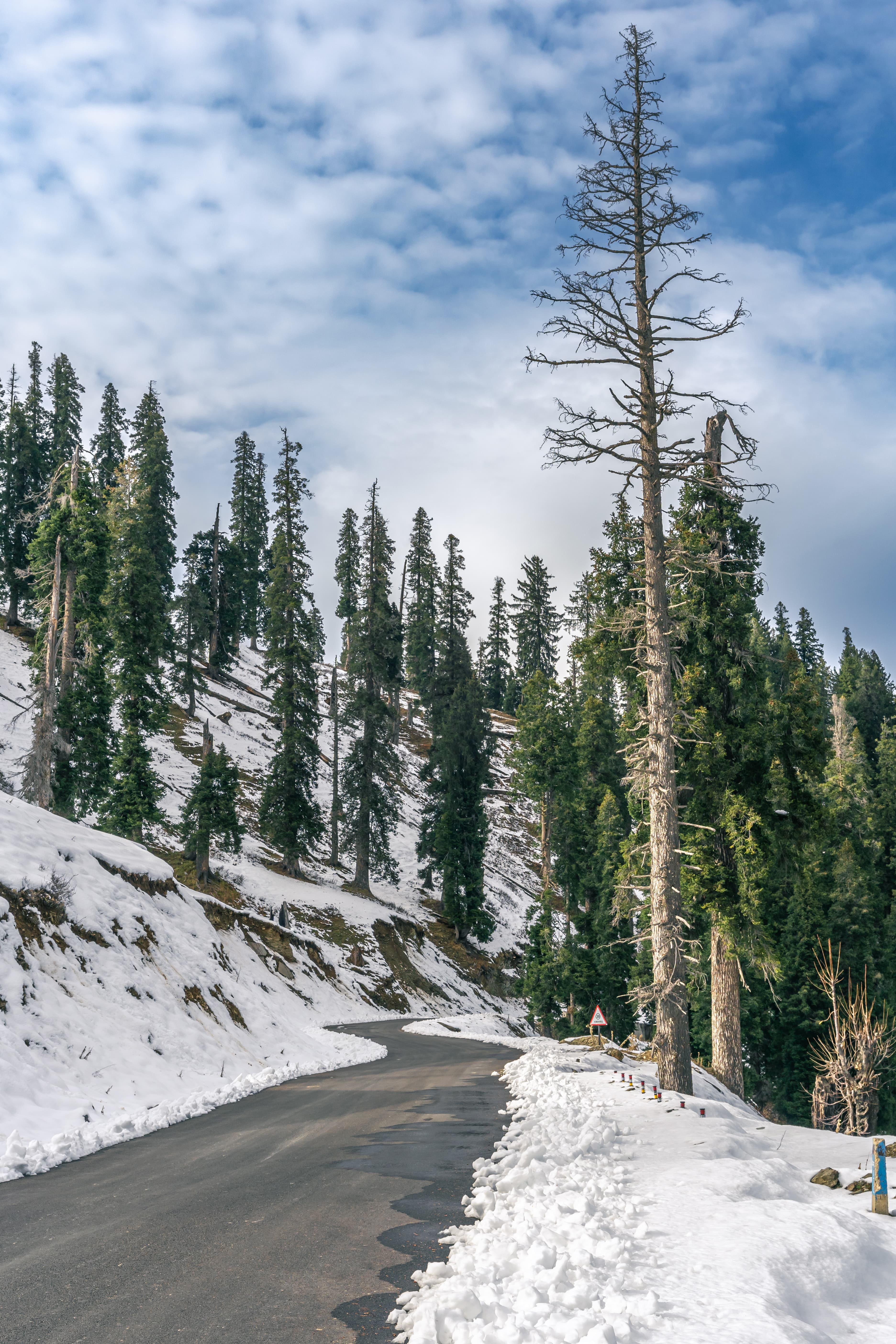 Serpentine Silence Winter Road Through Guldanda Forest