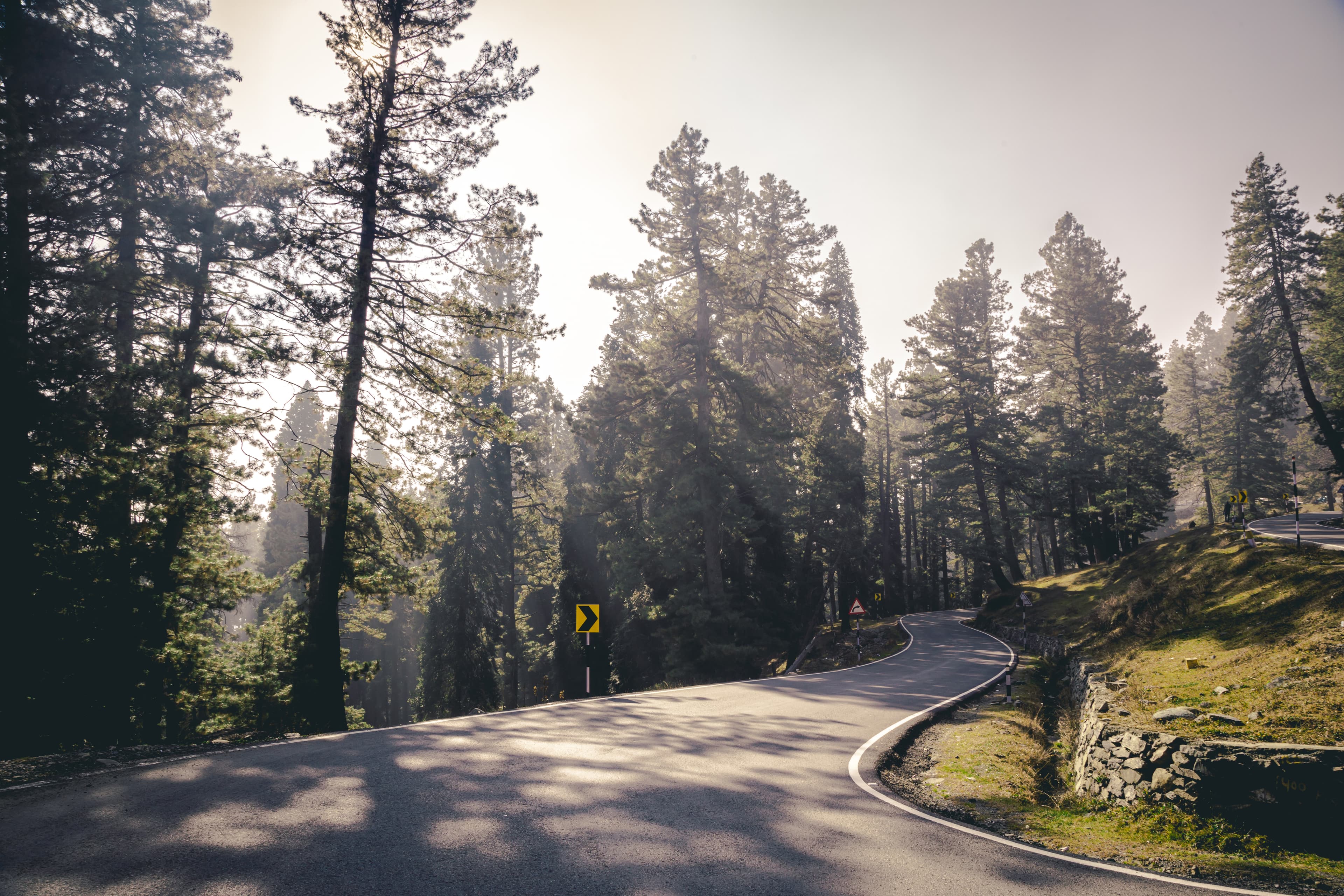 Morning Curves of Gulmarg