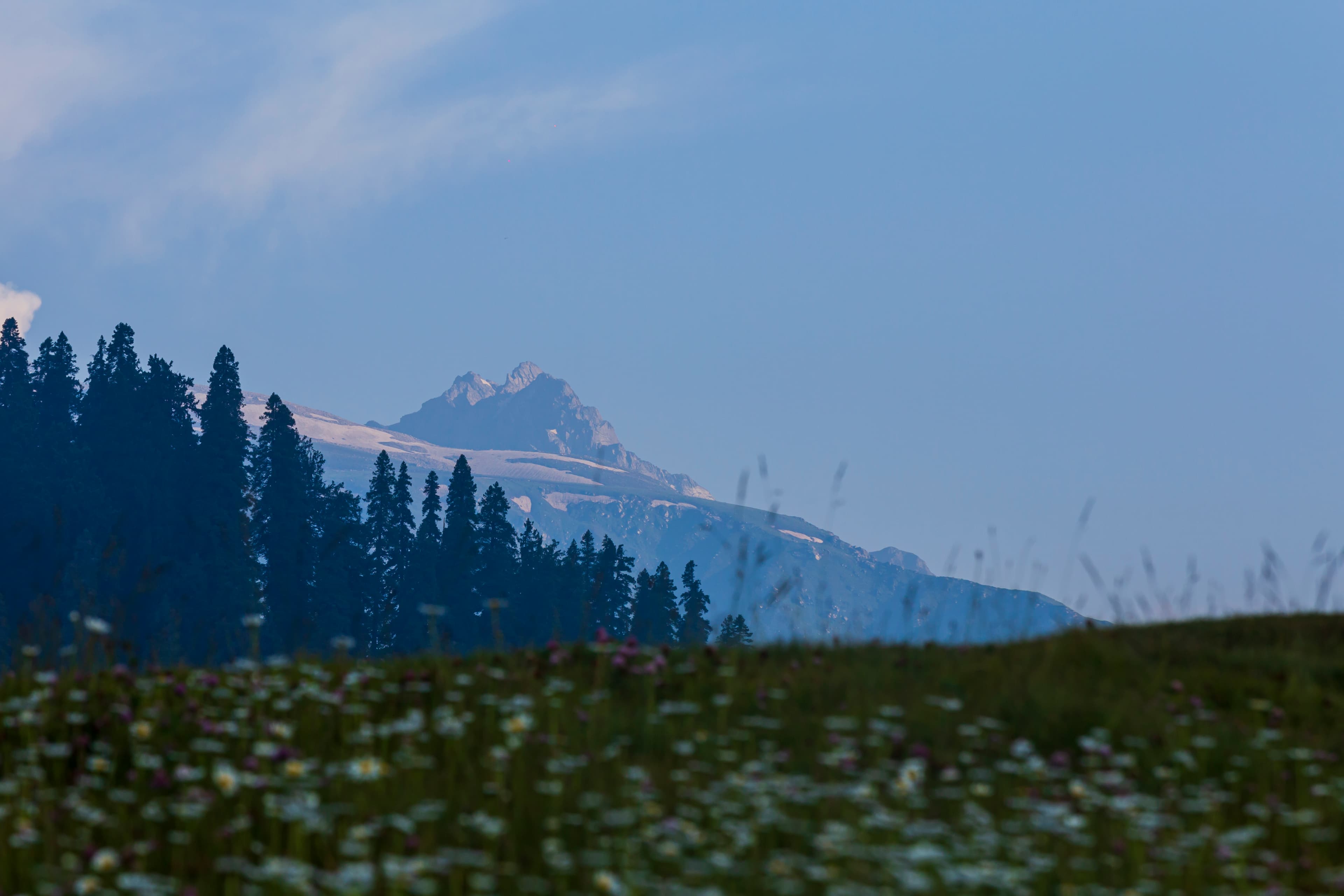 Whispers of Twilight in Gulmarg