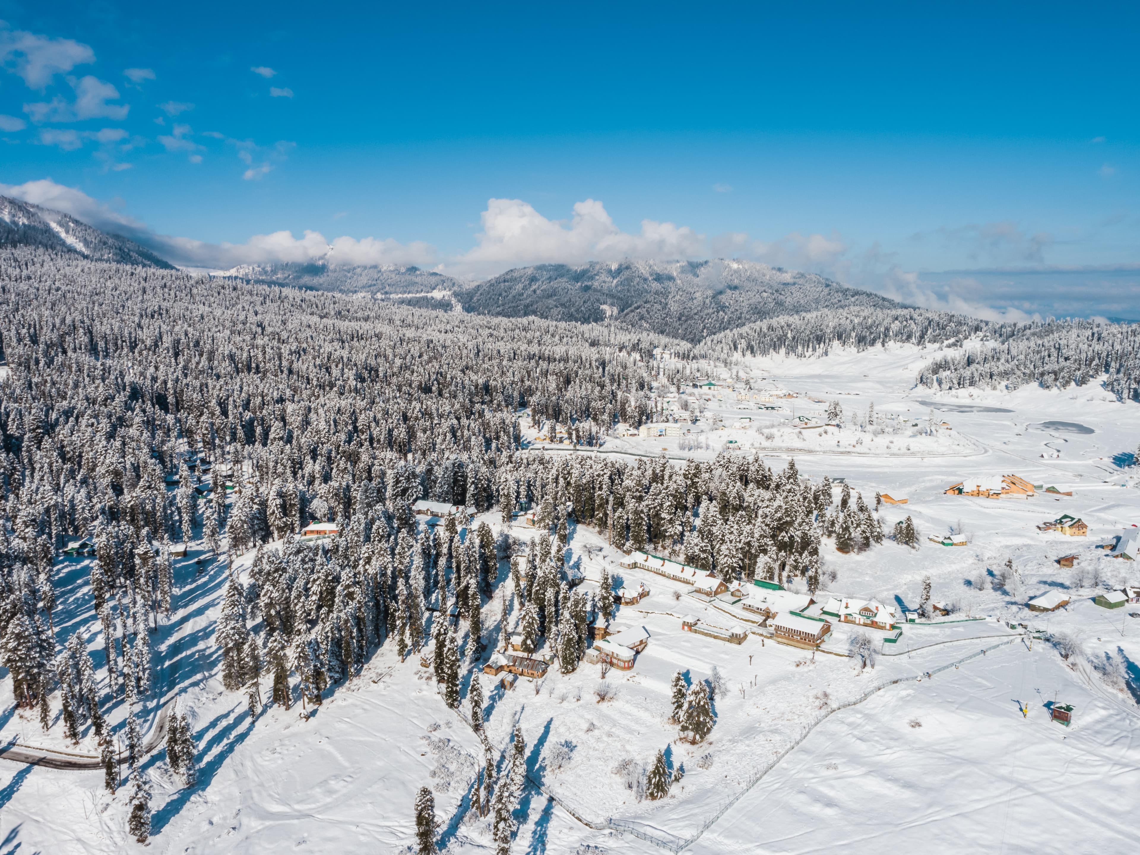 Frozen Forests of Gulmarg