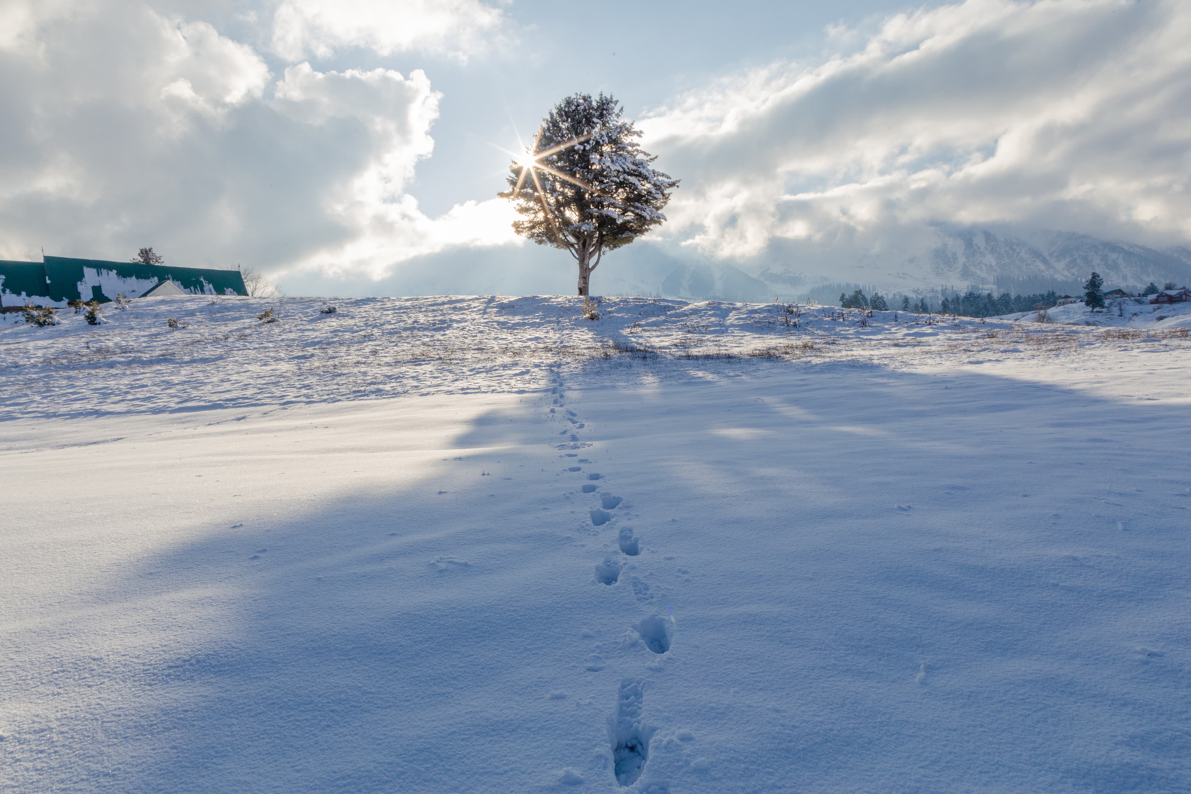 Path of Light Tranquil Morning in Gulmarg’s Snowfields