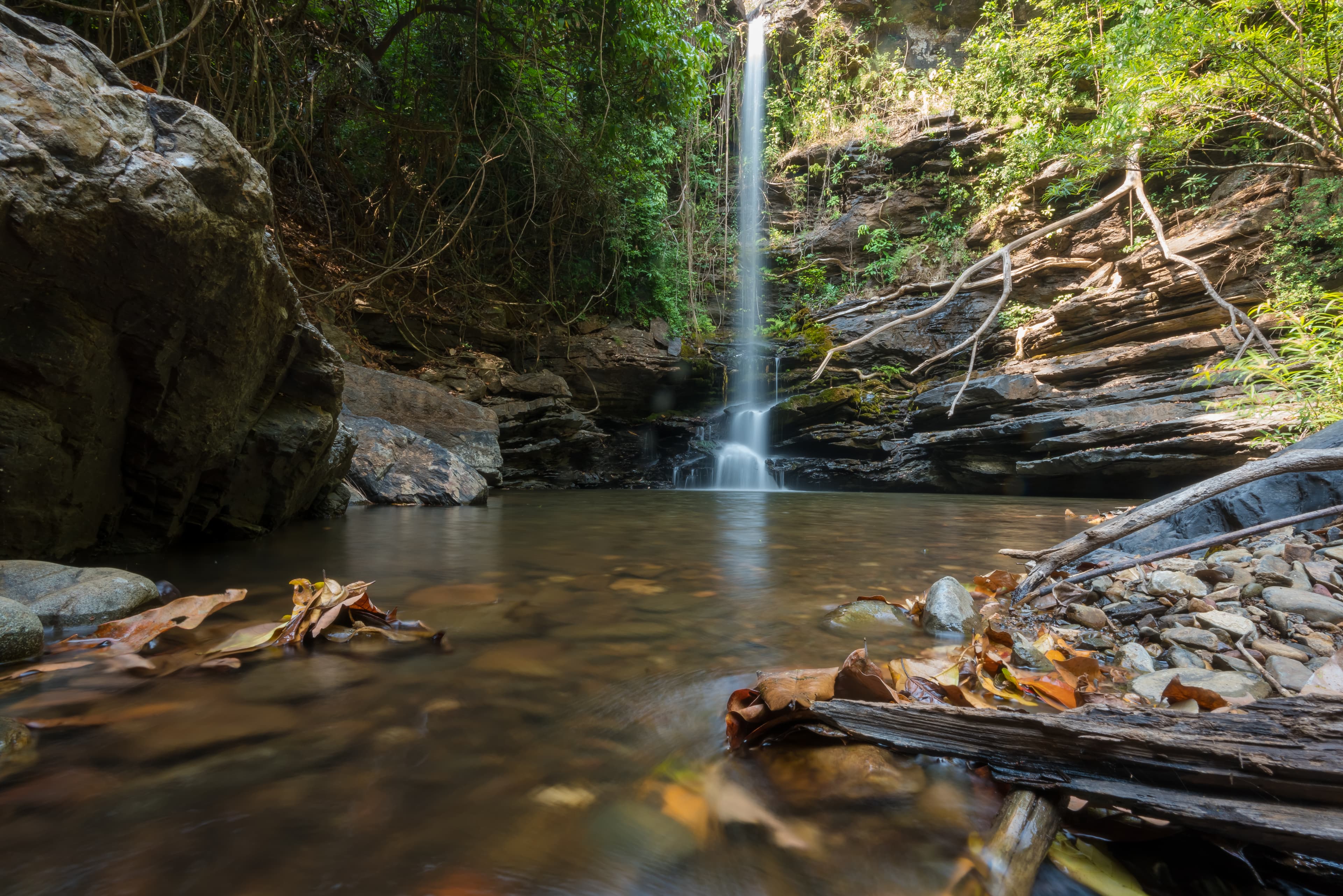 Whispers of Vainguinim Hidden Falls in Goa's Lush Heart
