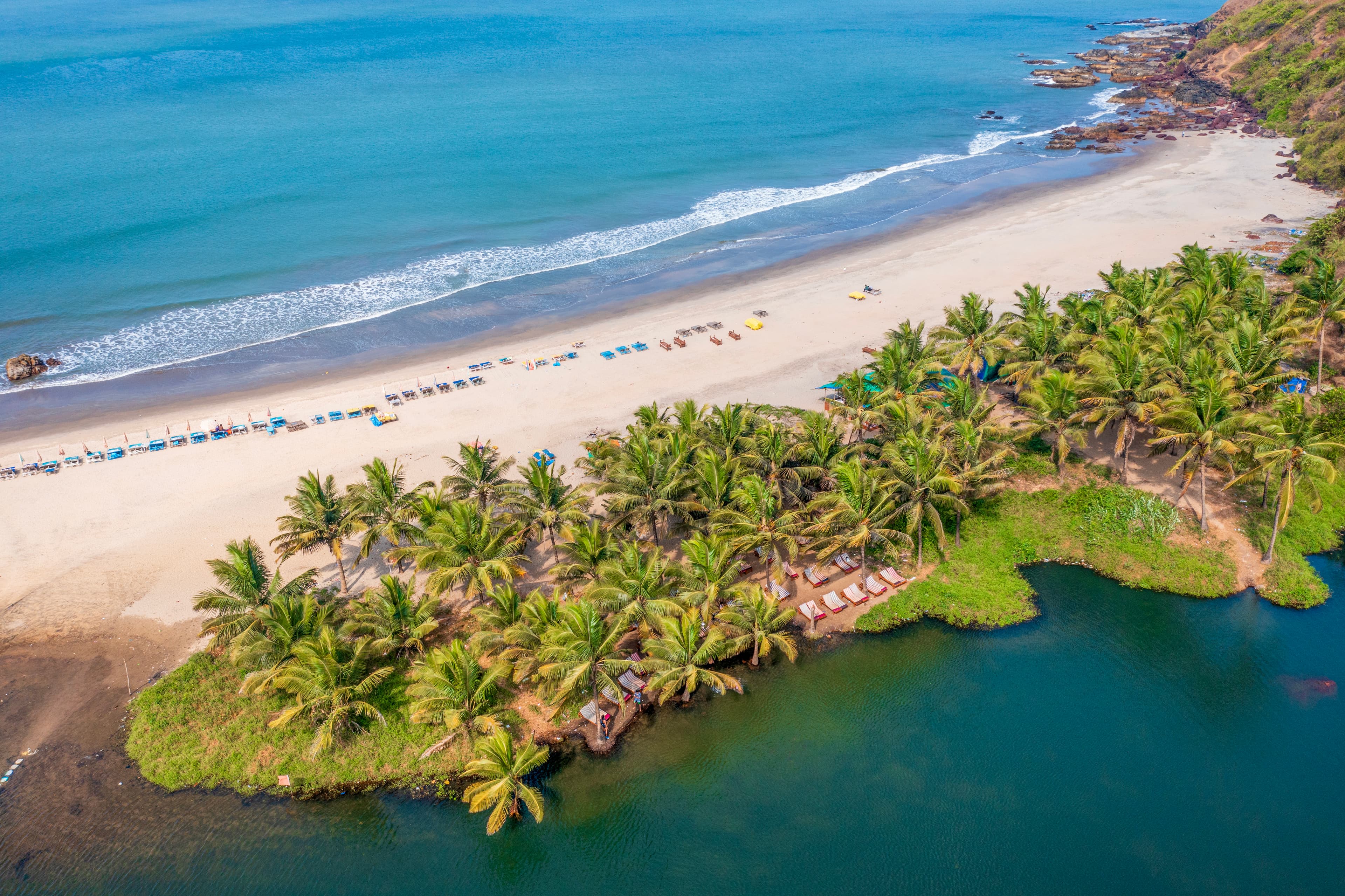 Where Palms Meet the Tides