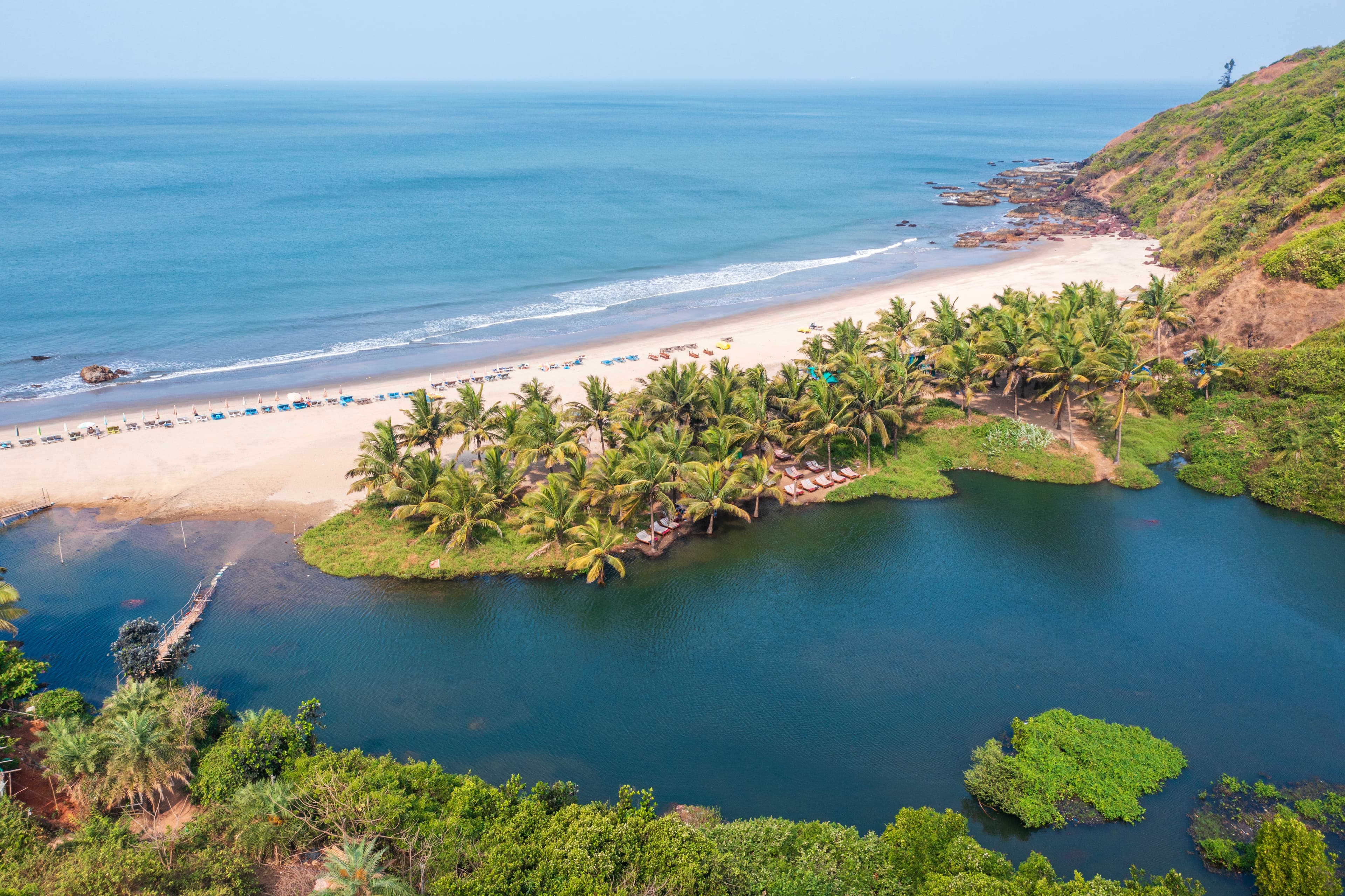 Whispers of Water and Palm