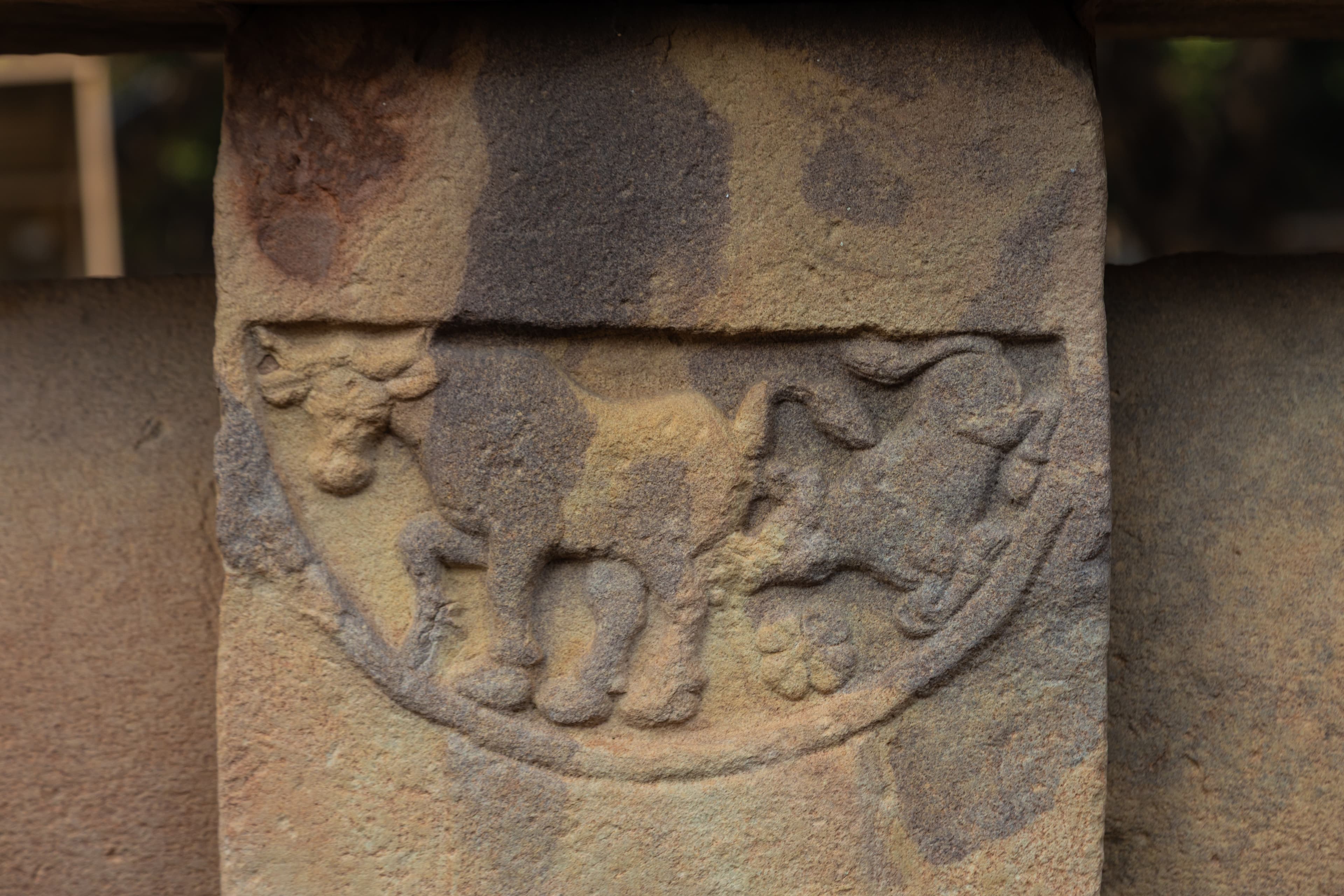 Stone Relief of Sacred Bull and Calf – Sanchi Symbolism