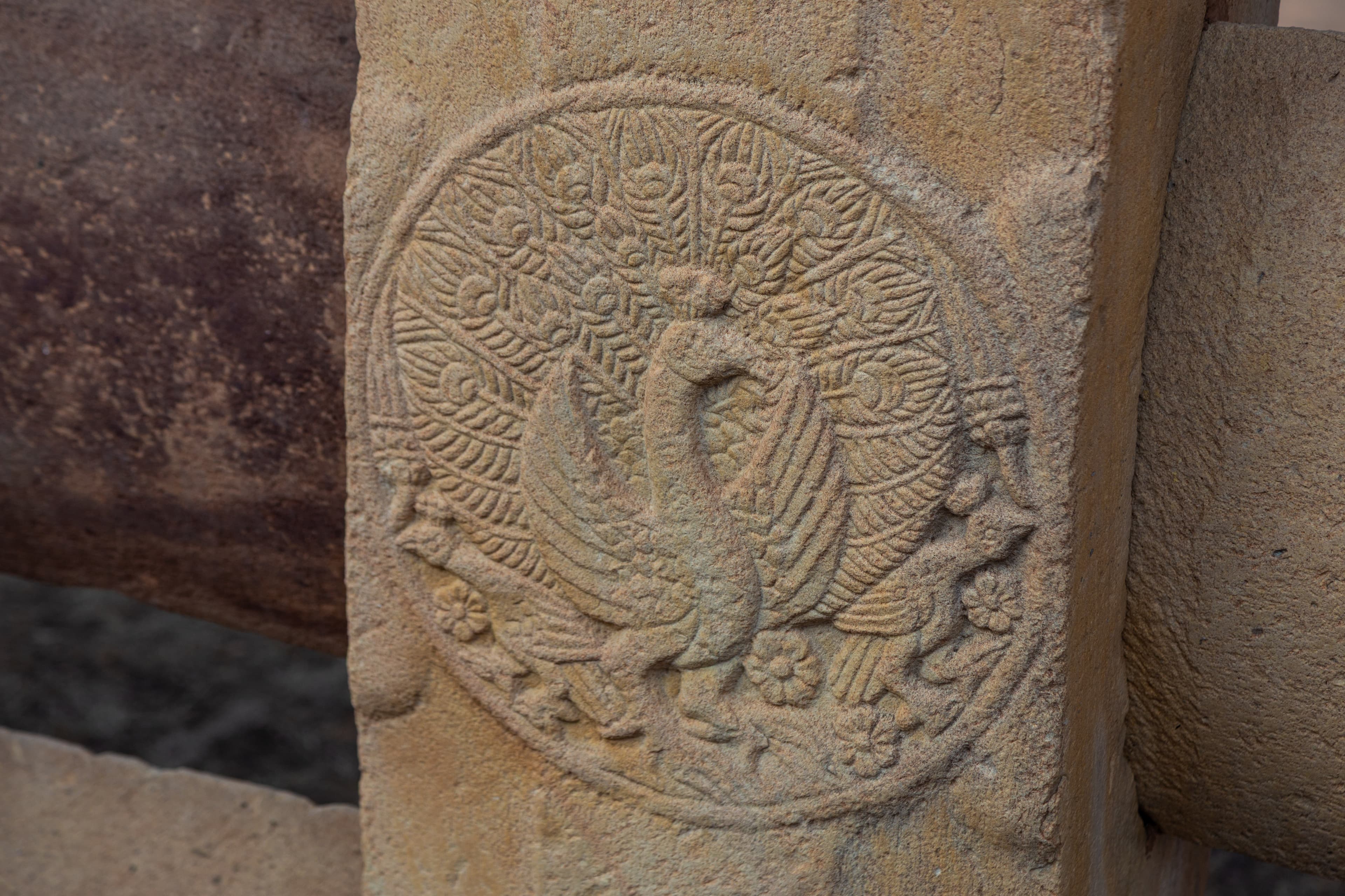 Peacock Motif in Stone – Sanchi's Symbol of Grace