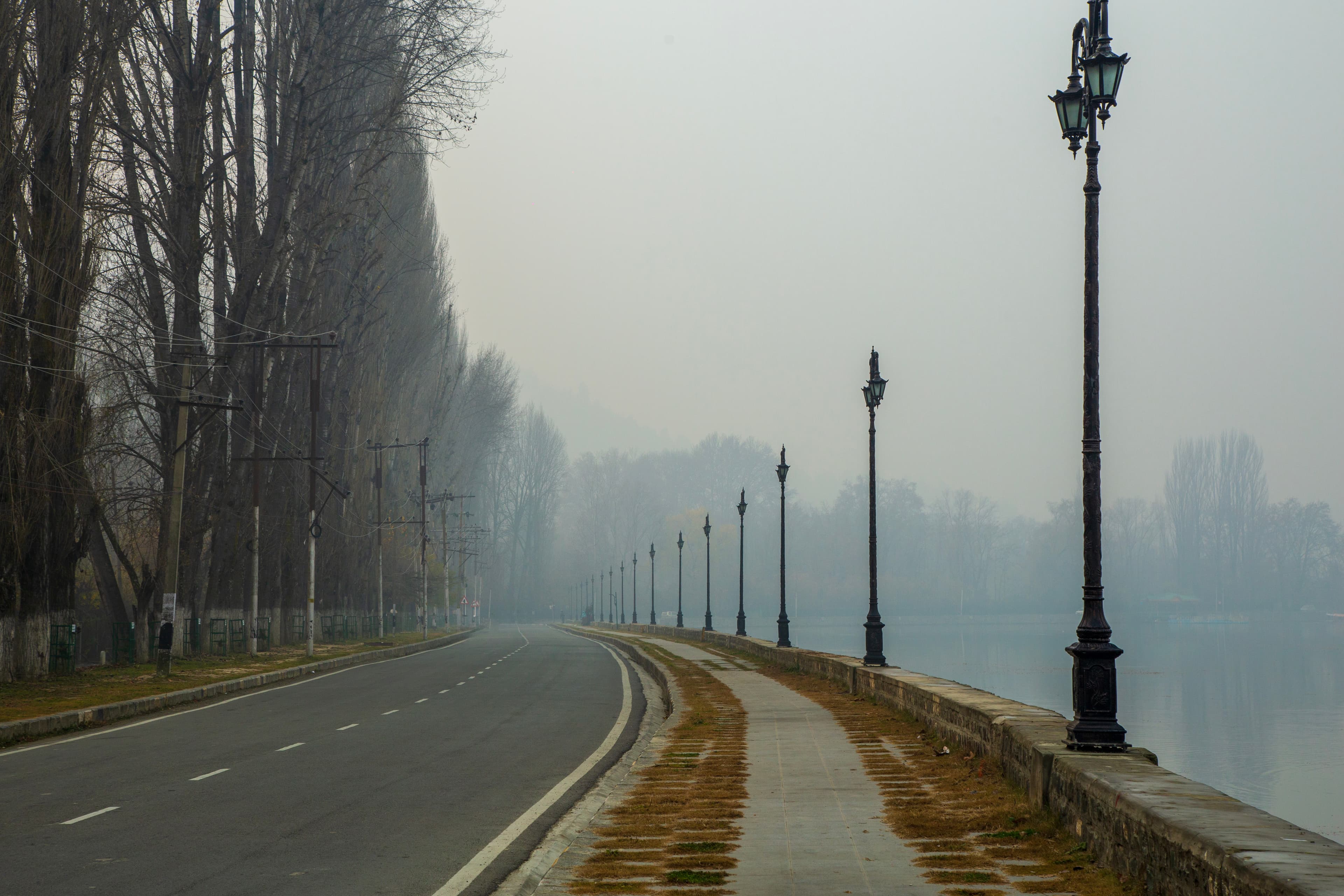 Misty Boulevard by Dal Lake