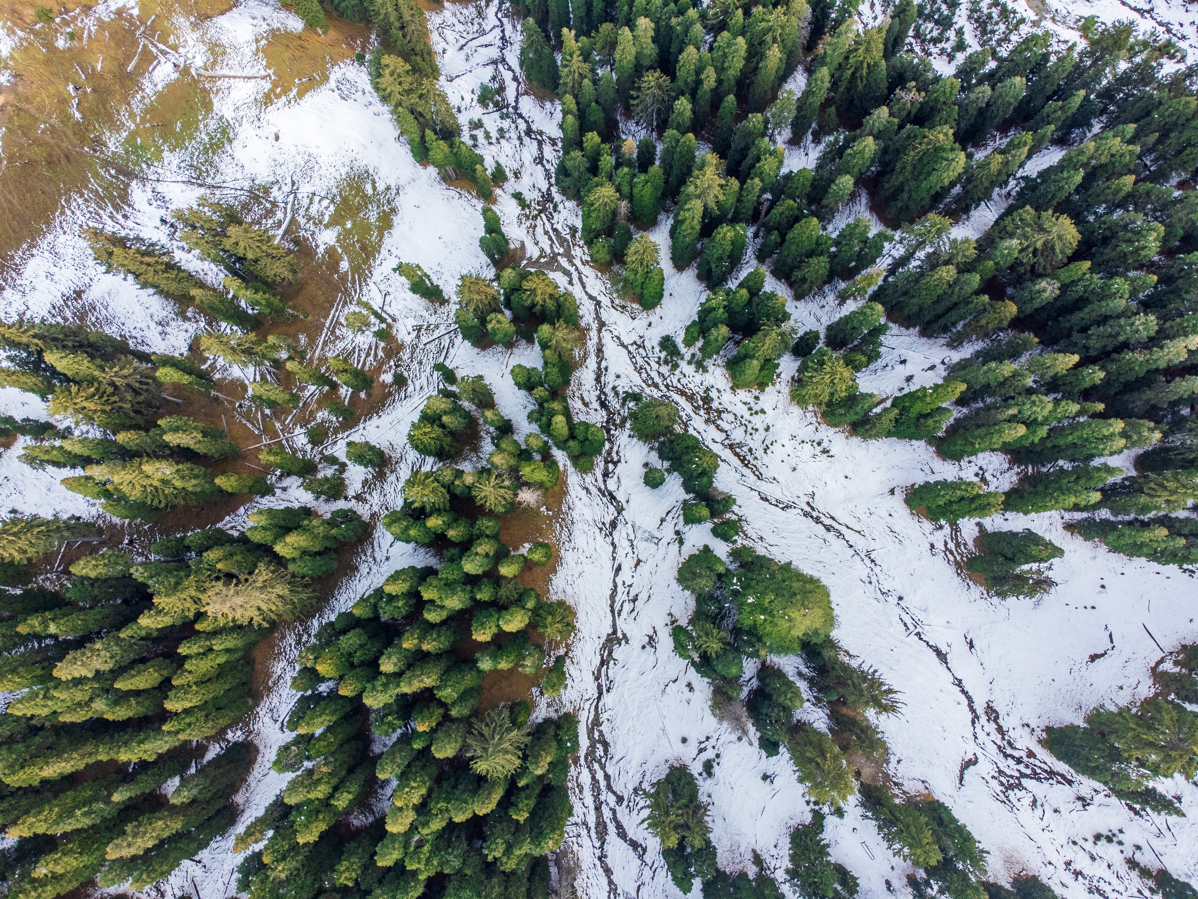 Winter Streaks Aerial Tapestry of Snow and Pines in Bhaderwah