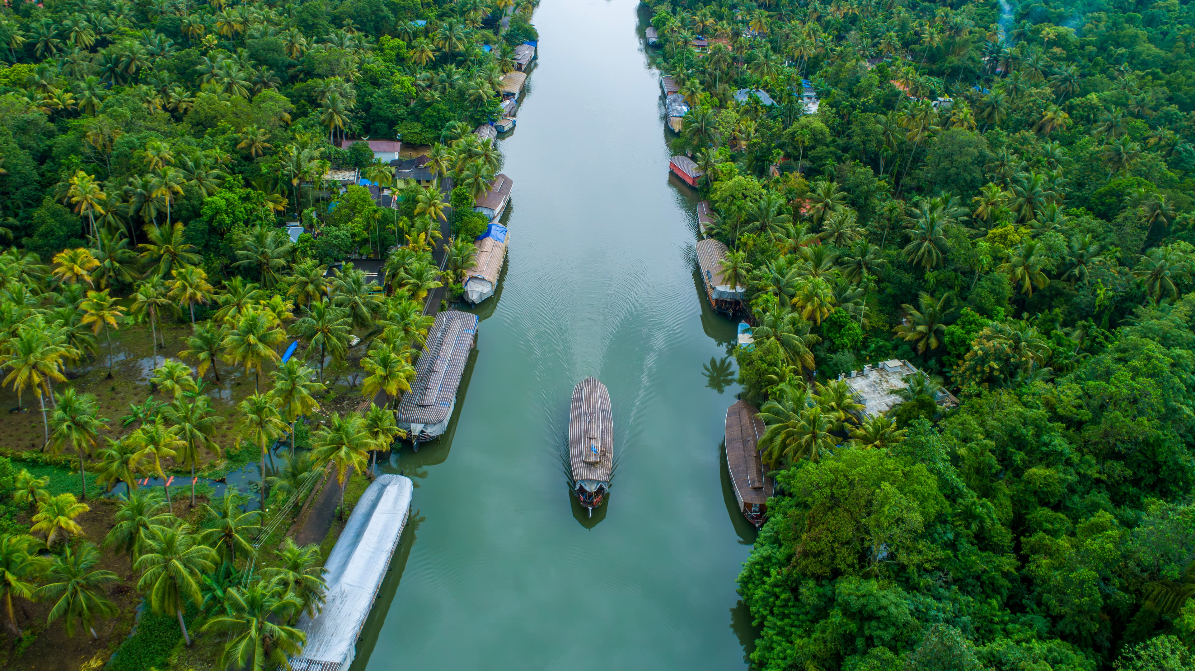 Kerala's Lush Backwater Arteries from Above