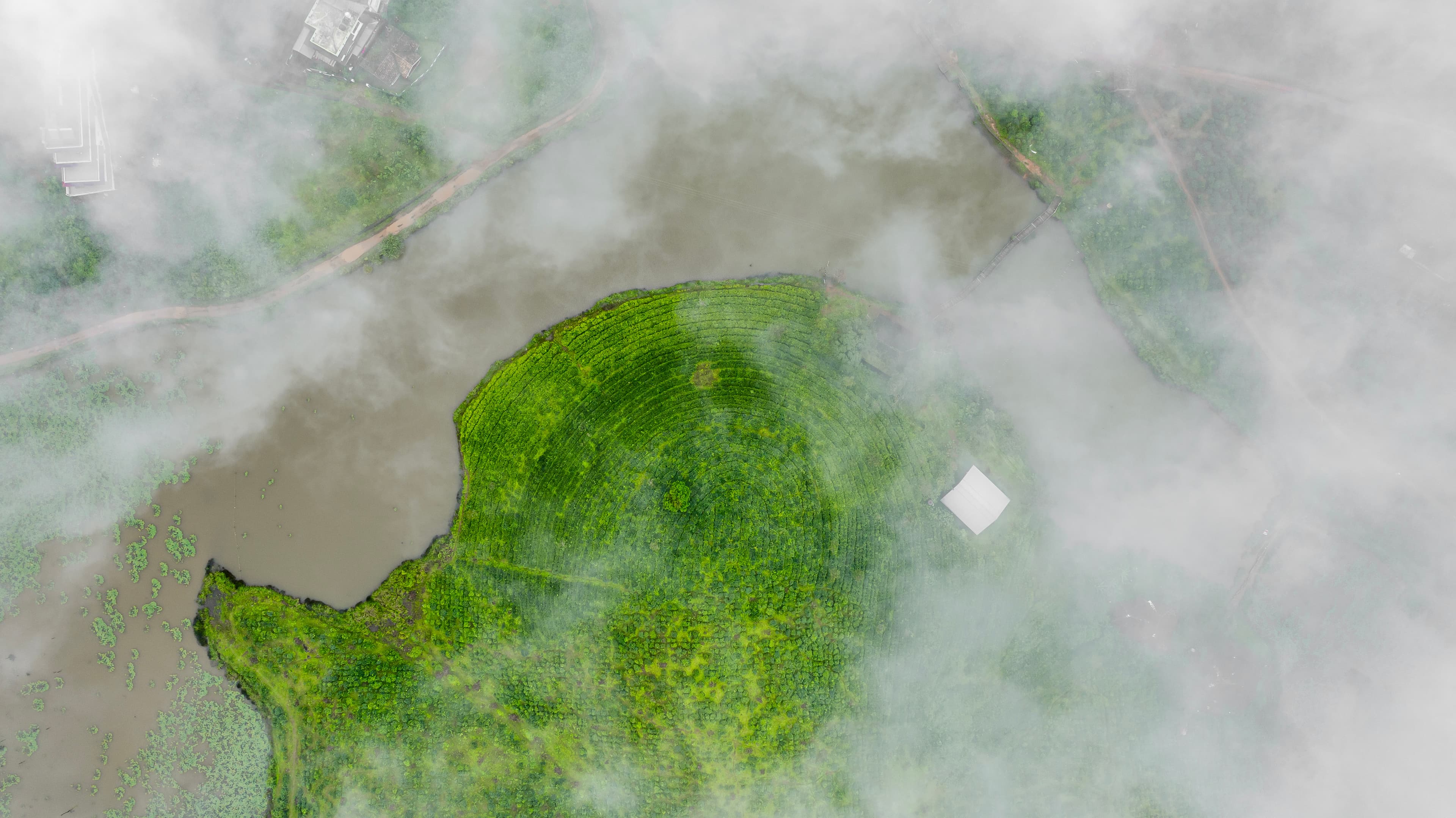 Vagamon Lake in the Clouds