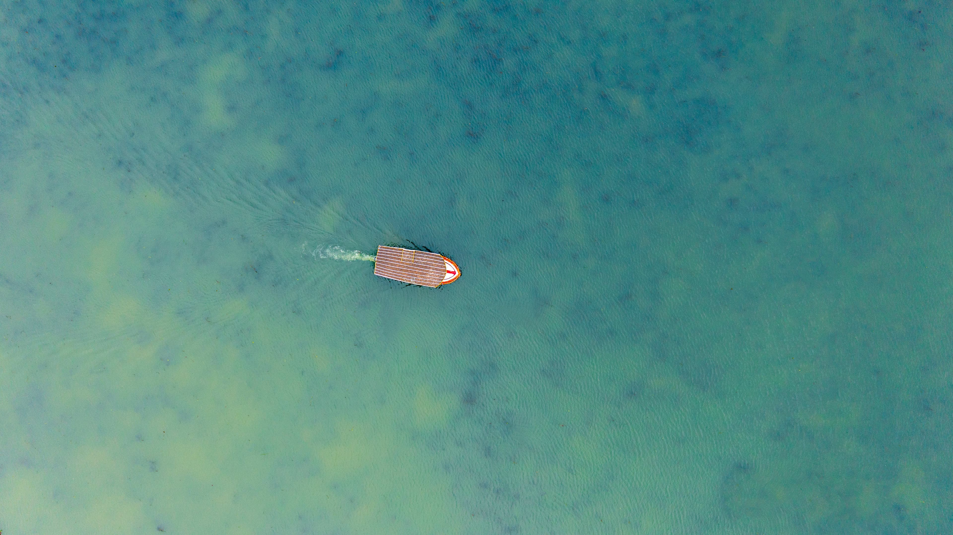 Boat in Vembanad’s Shallow Serenity