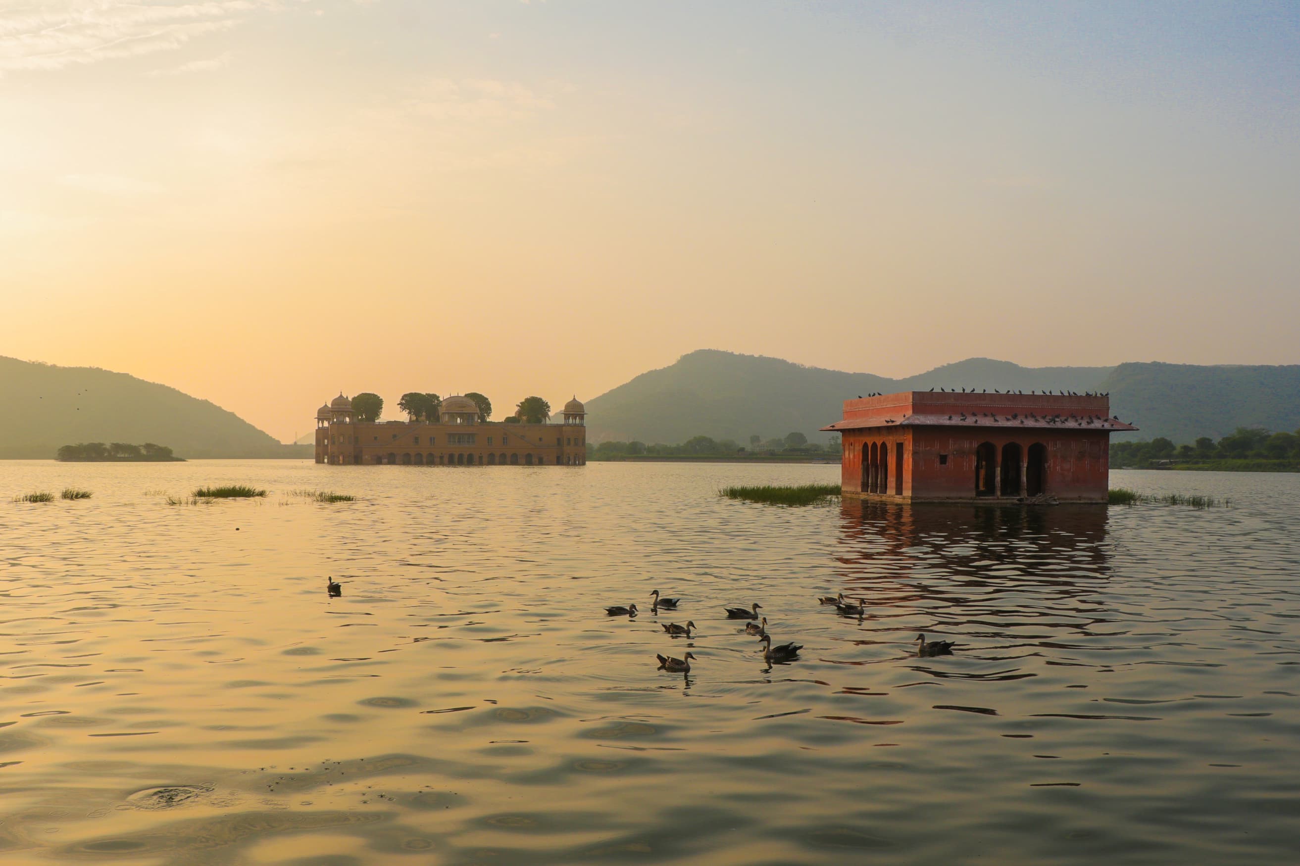 Golden Tranquility at Jal Mahal Lake
