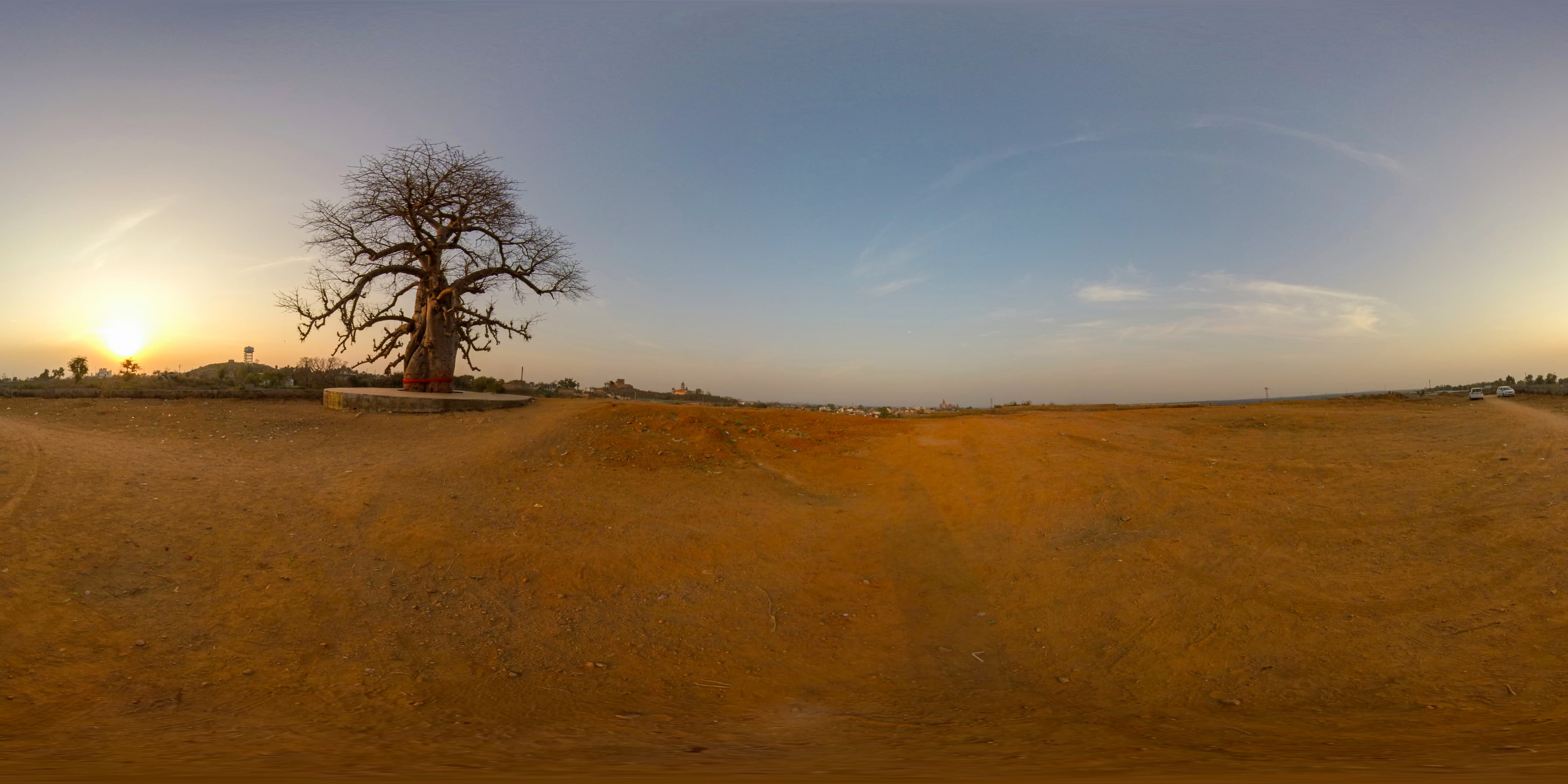 Whispers of the Sun Tree