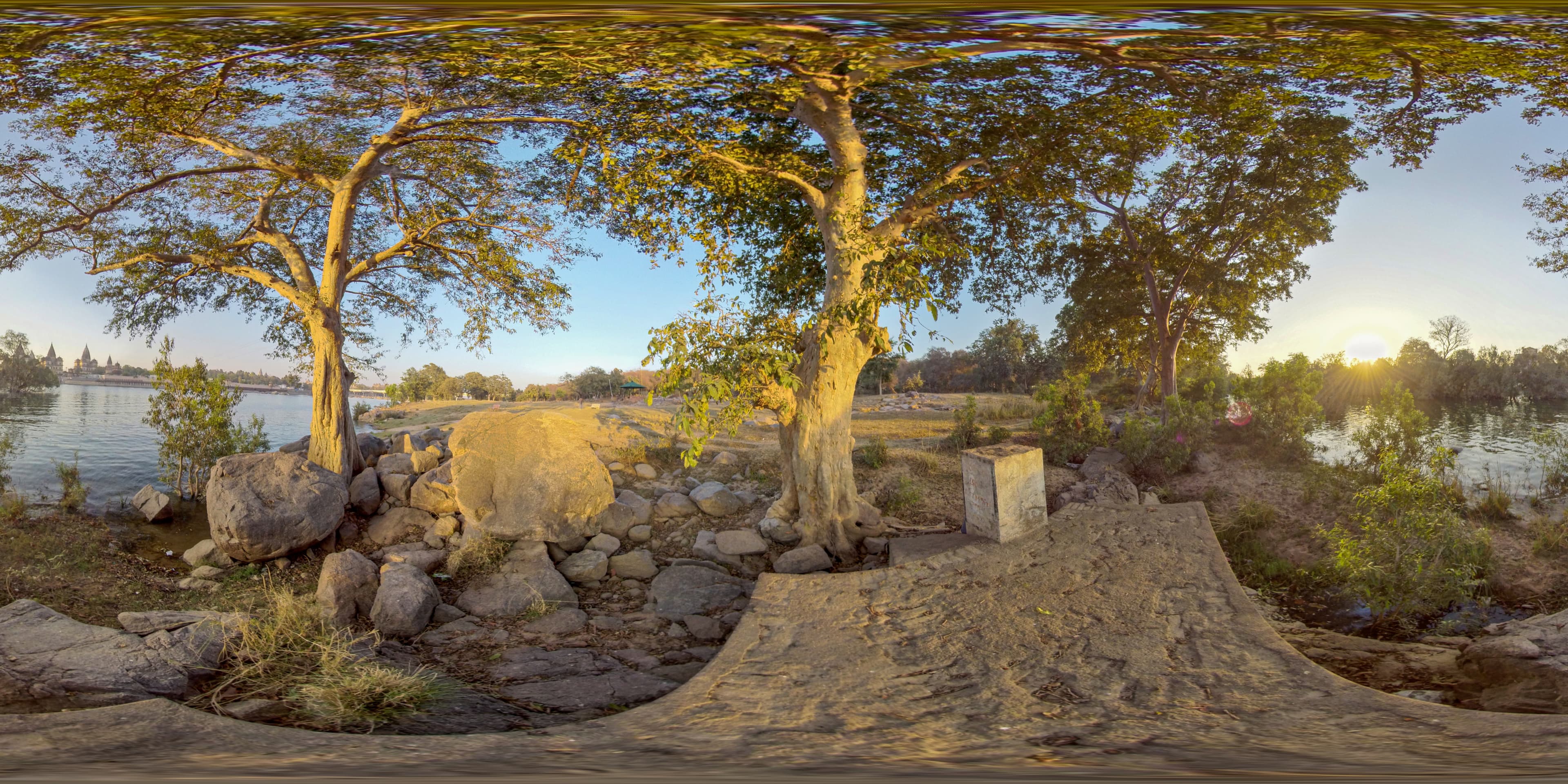 Roots and Reflections